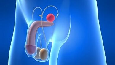 Еркектердегі майлау